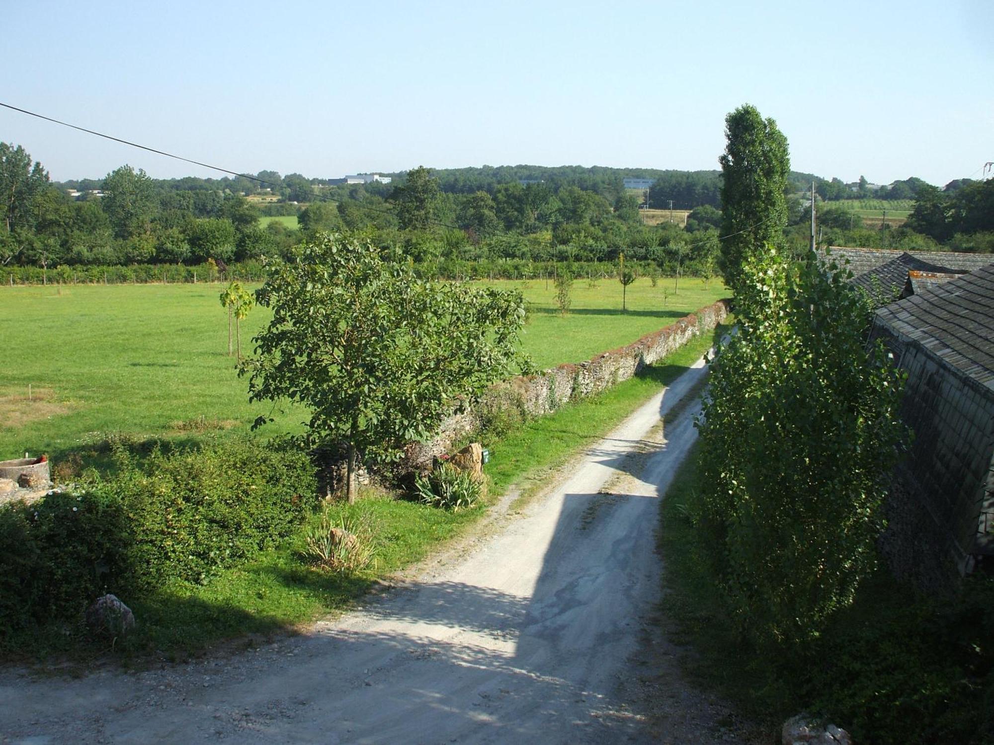 La Haye Gites Et Chambre D'Hotes Avrille  ภายนอก รูปภาพ